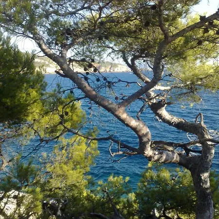 Superbe Ciotat شقة *